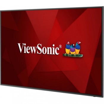 Viewsonic CDE6520 - 65" - LCD Negro