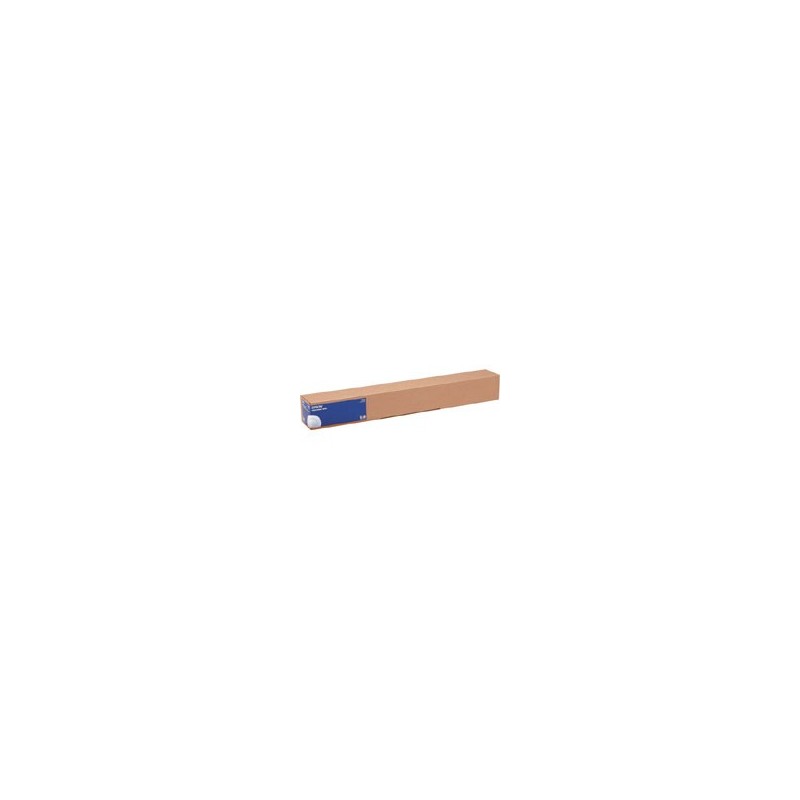 Epson Photo Paper Gloss, 17" x 30,5 m, 250 g m² C13S041892