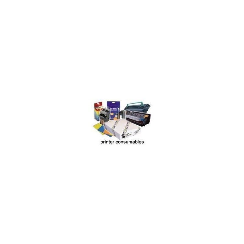 Epson Rollo de Enhanced Adhesive Synthetic Paper, 24" x 30,5 m, 135 g m² C13S041617