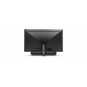 Philips Momentum 558M1RY 00 - 55" - 3840x2160 - 4K Ultra HD LED - Negro
