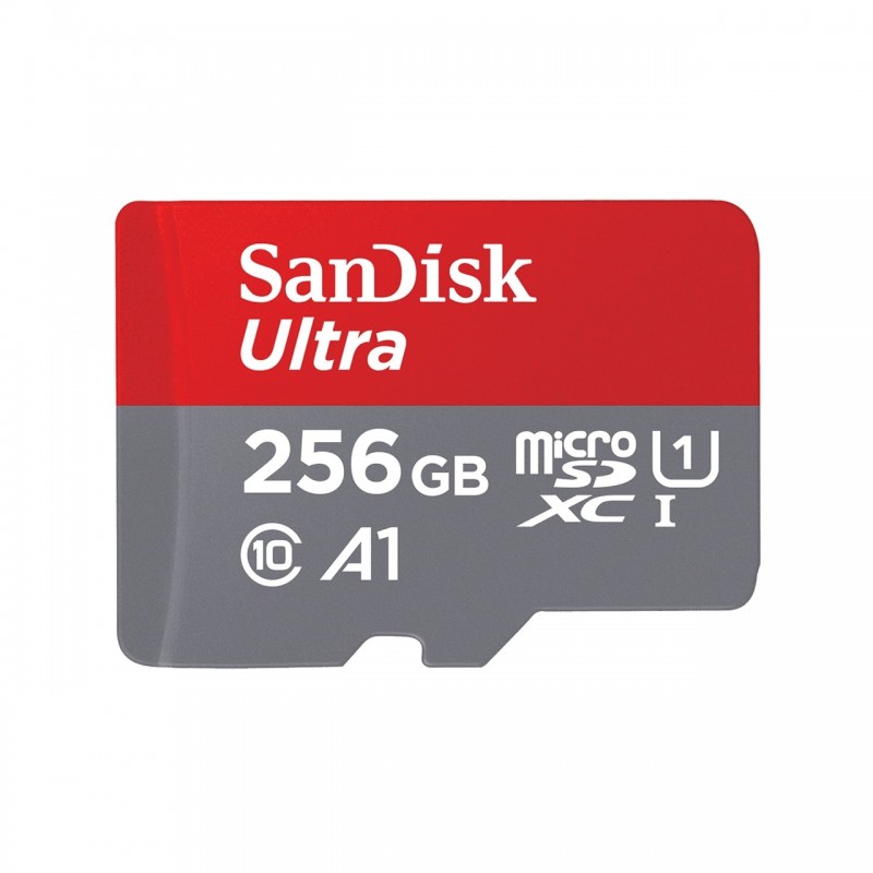 SanDisk Ultra - 256 GB MicroSDXC Clase 10 SDSQUA4-256G-GN6MA