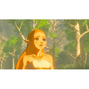 Nintendo The Legend of Zelda  Breath of the Wild TLOZ BOTW