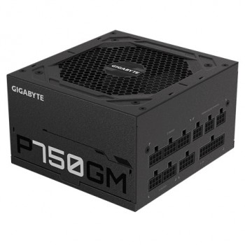 Gigabyte P750GM 80 PLUS Gold 750W GP-P750GM