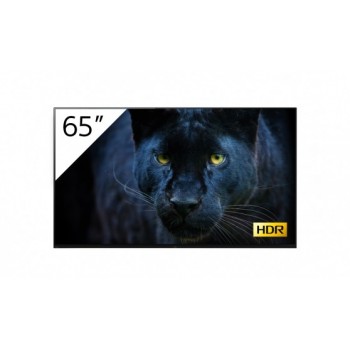 Sony FWD-65A8 T - 64.5" - OLED 4K Ultra HD - Negro