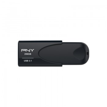 PNY Attache 4 - 256GB MGS0000000906