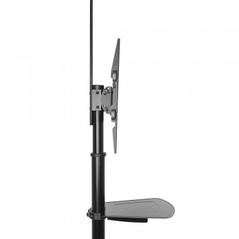 Ewent EW1540 signage display mount 177,8 cm (70") Negro