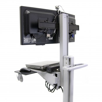 Carro doble Ergotron NeoFlex WideView (24-194-055) - Gris