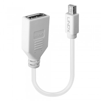 Lindy 41021 Cable DisplayPort 0,15 m Mini DisplayPort Blanco