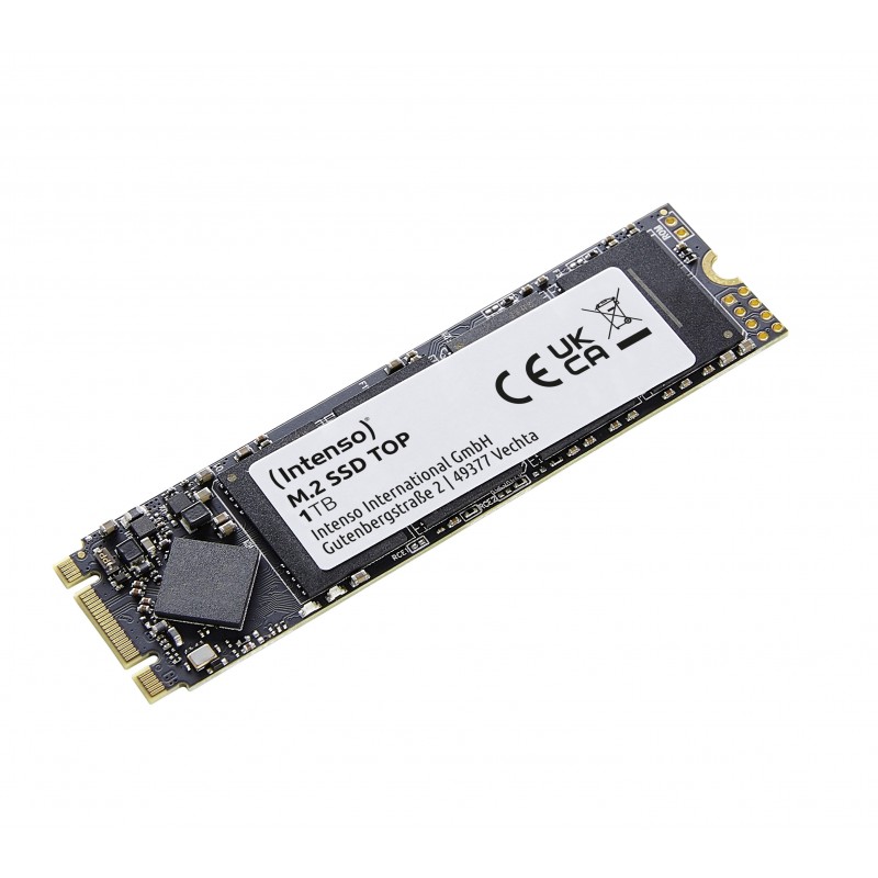 Intenso SATA III Top M.2 1TB 3832460