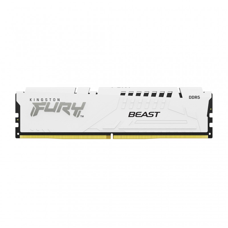 Kingston Technology FURY Beast 16GB - 1 x 16GB DDR5 5600 MHz KF556C40BW-16
