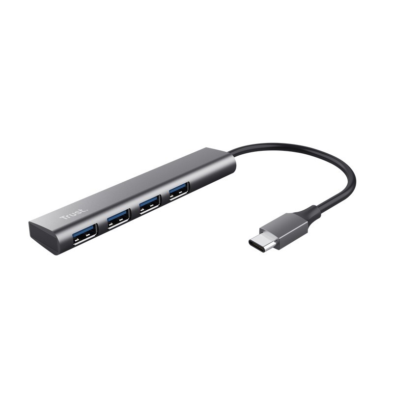 Trust Halyx USB 3.2 Gen 1 (3.1 Gen 1) Type-A 5 Mbit s Gris 24948
