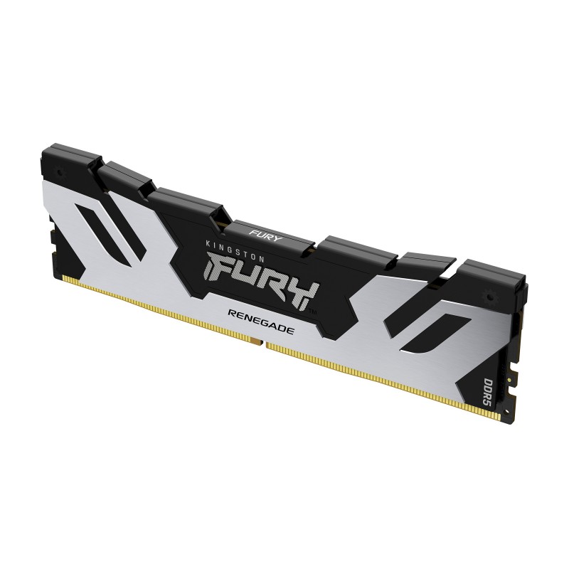 Kingston Technology FURY Renegade 48GB - 1 x 48GB DDR5  MHz KF564C32RS-48