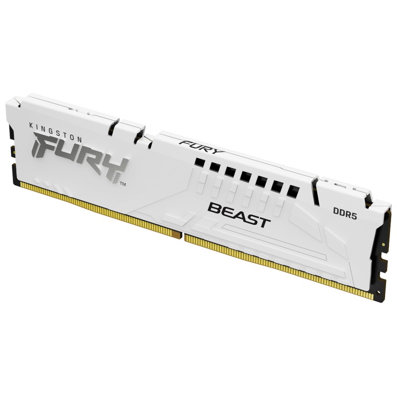 Kingston Technology FURY Beast  16GB - 1 x 16GB DDR5  MHz KF560C30BW-16