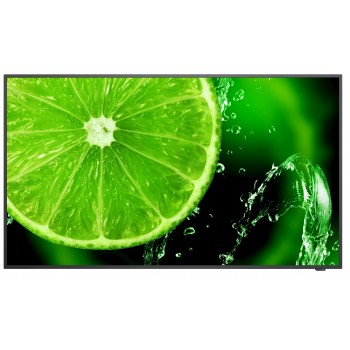 NEC MultiSync E498 -(49") IPS - 4K Ultra HD - Negro 60005052