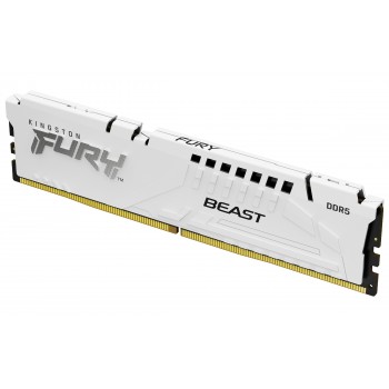 Kingston Technology FURY Beast módulo de memoria 16 GB 1 x 16 GB DDR5 KF560C36BWE2-16