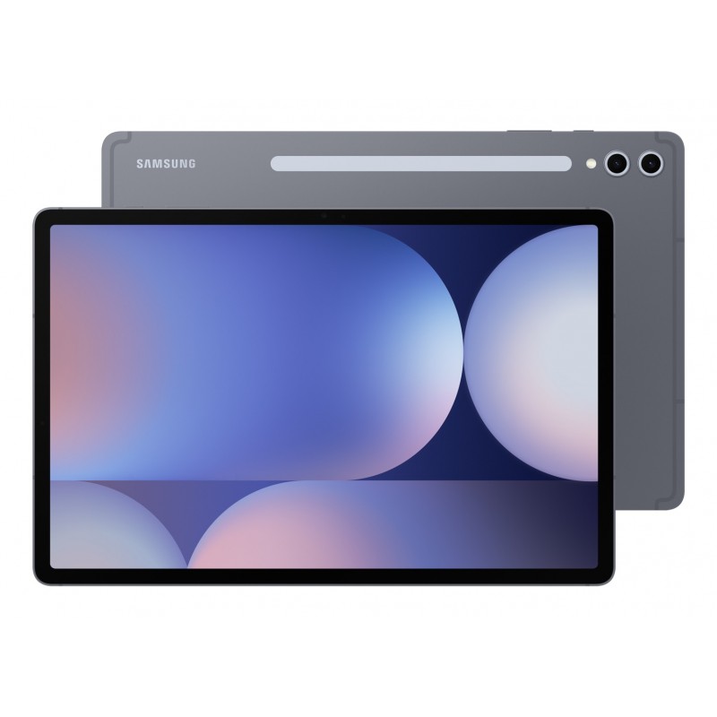 Samsung Galaxy Tab S Galaxy Tab S10 Plus Wi-Fi Gris - 12.4" - 256GB SM-X820NZAREUB