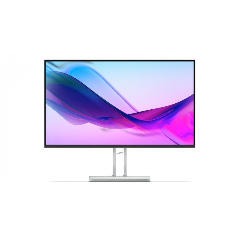 Lenovo L24i-4A - 23.8" Full HD - LED - Gris - 100Hz 67BCKAC6EU