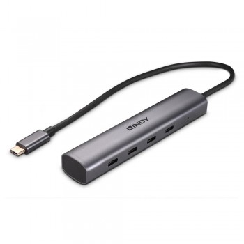 Lindy 43384 hub de interfaz USB Tipo C 10000 Mbit s Gris