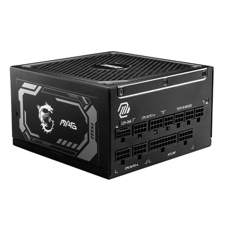 MSI MAG A1250GL PCIE5 80 PLUS Gold 1250W 306-7ZP9A11-CE0