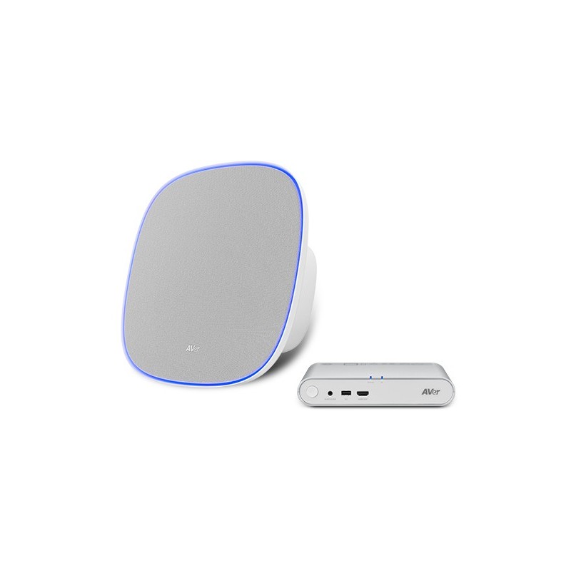 AVer FONE700 Speakerhone Gris 61U6300000AC