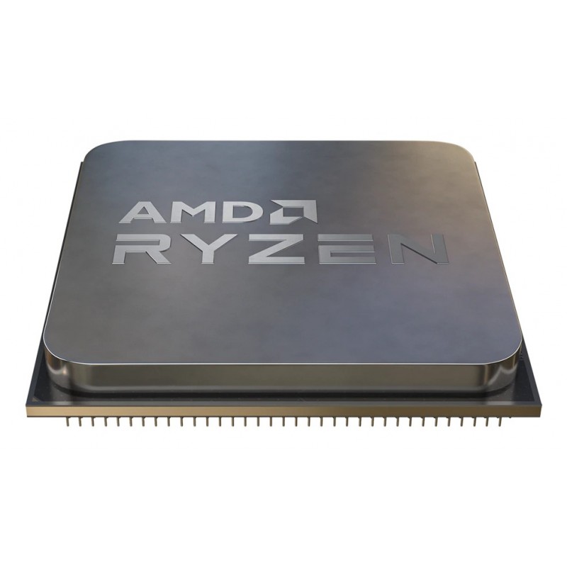 AMD Ryzen 5 9600   100-000000718