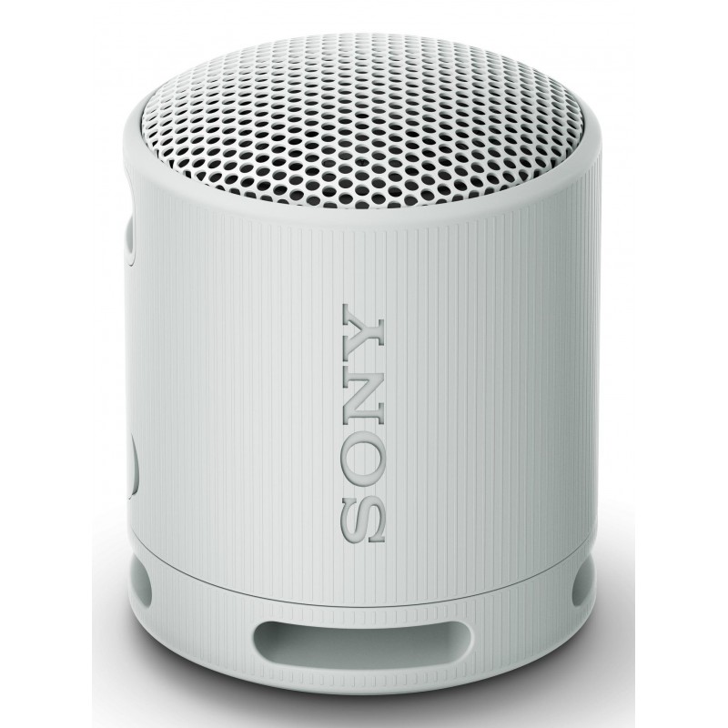 Sony SRS-XB100 Altavoz monofónico portátil Gris SRSXB100H.CE7