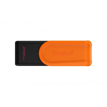 Kingston Technology DataTraveler 256GB Portable USB 3.2 Gen  256GB - USB Type-A - Negro, Naranja DTXS 256GB