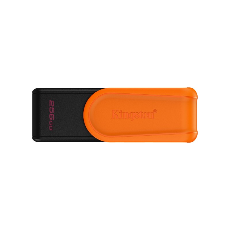 Kingston Technology DataTraveler 256GB Portable USB 3.2 Gen  256GB - USB Type-A - Negro, Naranja DTXS 256GB