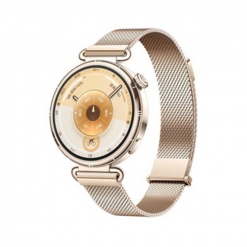 Huawei WATCH GT6 41MM Acero inoxidable Oro con correa color Oro  55020FTP
