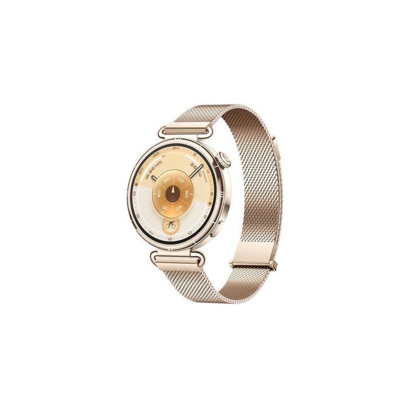 Huawei WATCH GT6 41MM Acero inoxidable Oro con correa color Oro  55020FTP