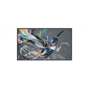 Philips 55" Signage Solutions Pantalla Q-Line 55BDL3511Q 00