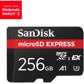 SanDisk Express 256 GB MicroSDXC UHS-I SDSQXFN-256G-GN4NN
