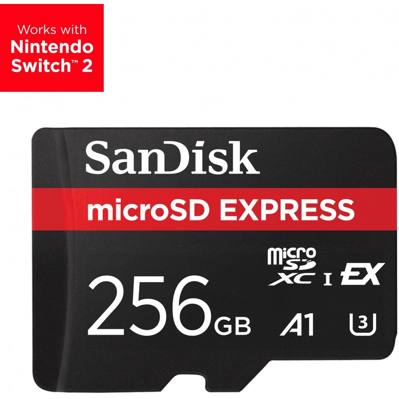 SanDisk Express 256 GB MicroSDXC UHS-I SDSQXFN-256G-GN4NN