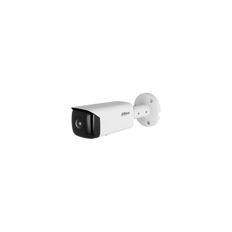 Dahua Technology WizSense IPC-HFW3441T-AS-P Bala (forma) Cámara de seguridad IP Interior y exterior  1.0.01.04.38046-0017