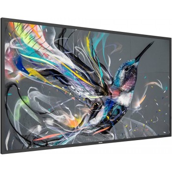 Philips Signage Solutions 65BDL3511Q/02 -  65" -  4K Ultra HD - Negro