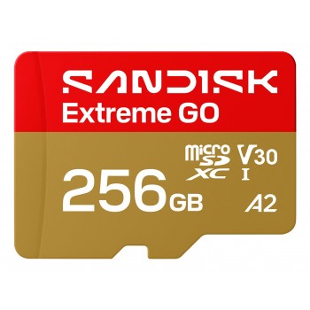 SanDisk Extreme GO 256 GB MicroSDXC UHS-I SDSQXGN-256G-GN6MN