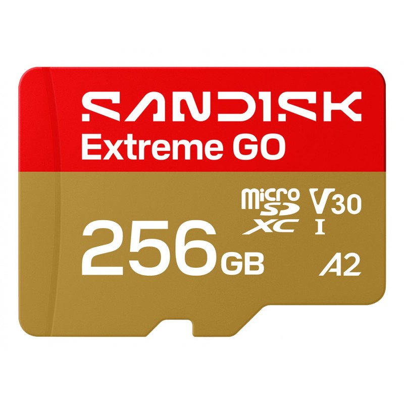 SanDisk Extreme GO 256 GB MicroSDXC UHS-I SDSQXGN-256G-GN6MN
