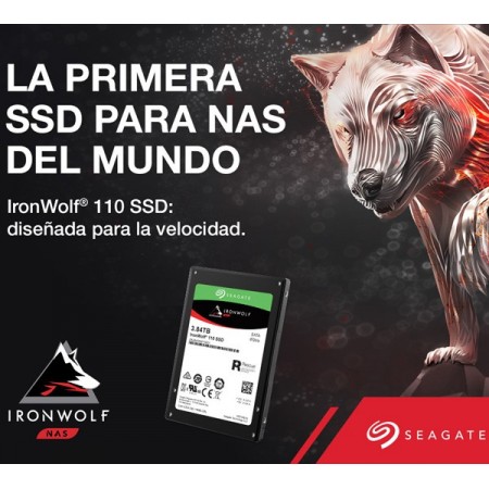 Ironwolf SSD