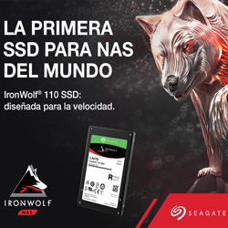 Ironwolf SSD